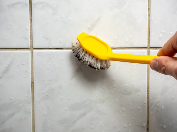 Best Black Mold Remediation in Harvey, MI