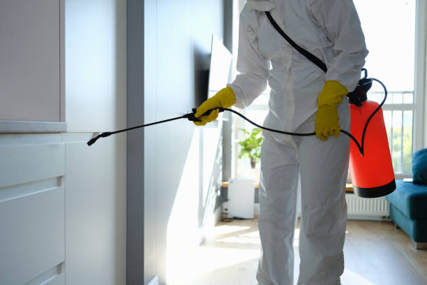 Best Commercial Mold Remediation in Harvey, MI