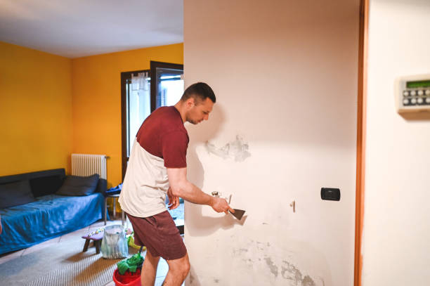 Best Mold Remediation for Schools in Harvey, MI